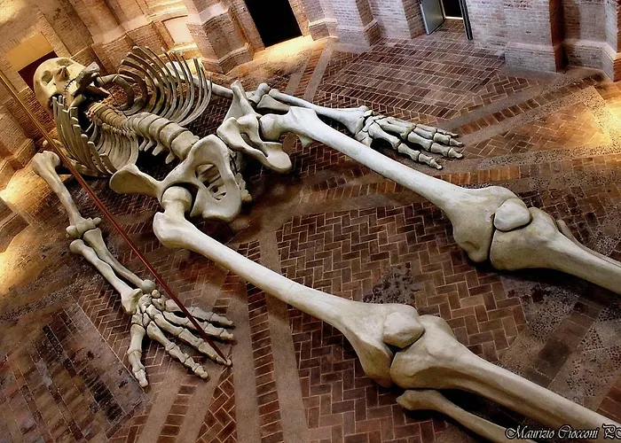 Hostel Palazzo Pierantoni *